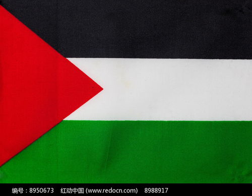 巴勒斯坦国旗