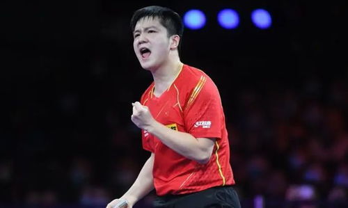 樊振东比赛画面