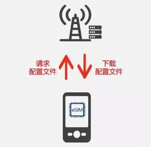 中国移动董事长谈携号转网：恶性竞争下的市场困局