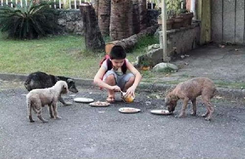 河南3岁男童被恶狗攻击现场图