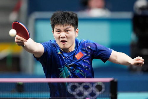 张本智和与樊振东的比赛场景