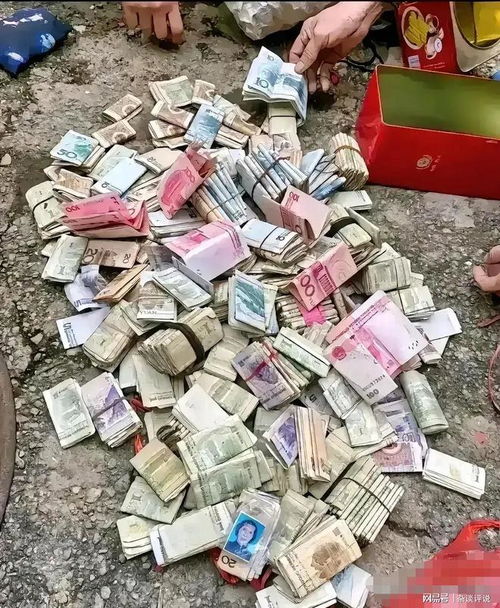 深圳非婚生育育儿补贴问题引关注，真相到底是什么？