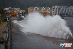台风登陆时的海浪