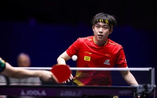 张本智和VS王楚钦：赛场上的巅峰对决！