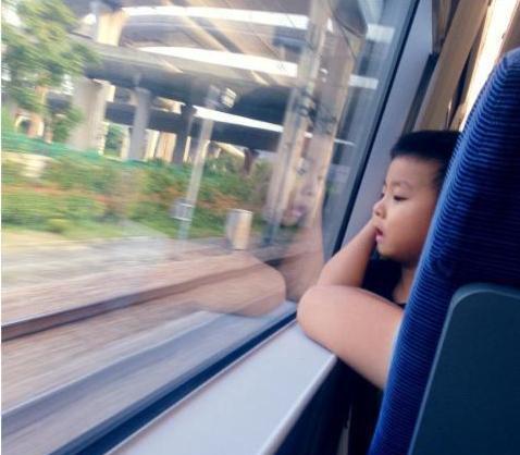 惊险瞬间！大狗扑向宝宝，宝妈挺身而出护子