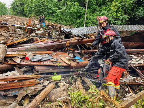 19岁男孩旅游失联，背后真相令人揪心！