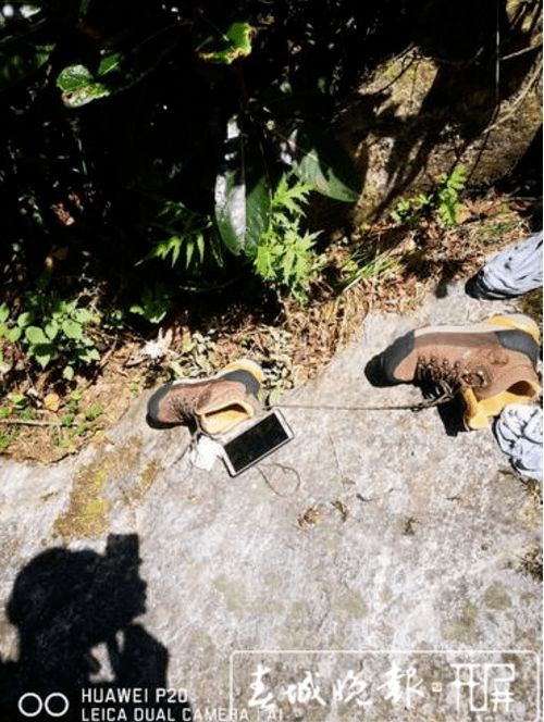 救援人员搜寻画面