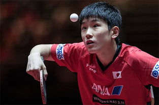 张本智和在训练场上的专注练习画面