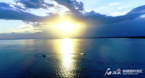 优质主播中国行新疆站：领略博斯腾湖独特魅力