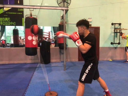 翟佳宁专注训练的画面