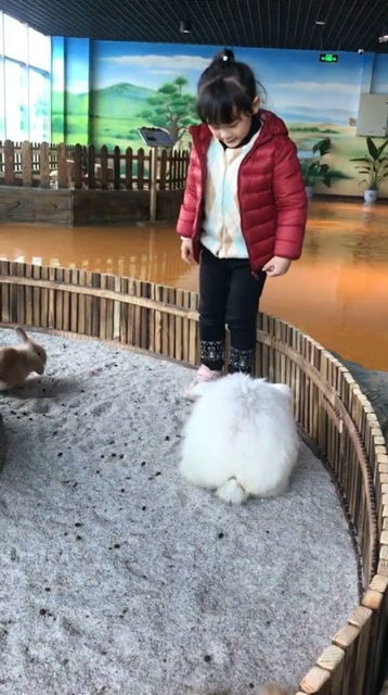 GPT-5登场，Kimi竟成陪跑者？