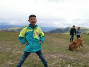走失男童背后：涉事夏令营机构遭调查始末
