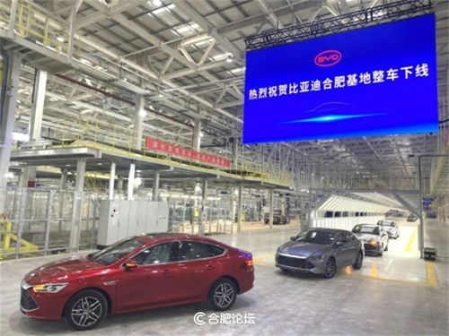 台湾网红馆长即将参观比亚迪总部，背后故事引关注