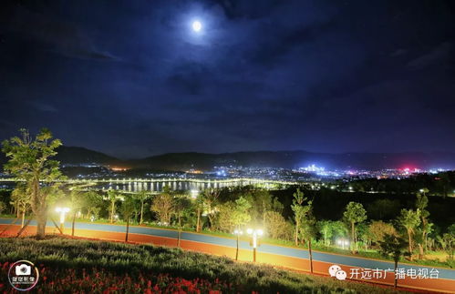 公园夜游、草原观影……暑期游‘点燃’文旅新活力