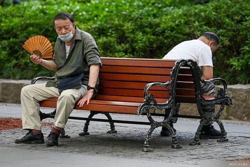 不交社保！企业疯抢退休老人背后的故事