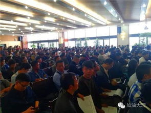 拍卖现场激烈竞拍