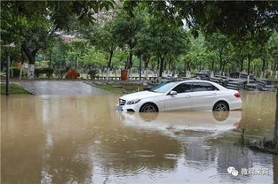 女子怒怼：我的车没泡水，咋底盘全是水？