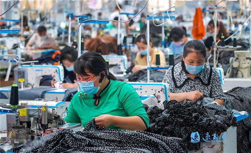 国货崛起！国产机器人海外热销背后的秘密