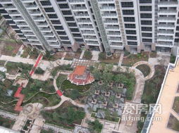 小区天降水管砸死婴儿？真相令人震惊！