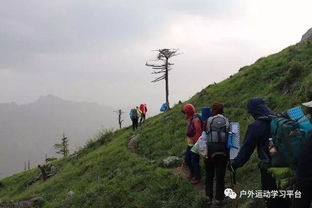 秦岭失联驴友惊魂记：从圆脸到瘦几十斤的生死之旅