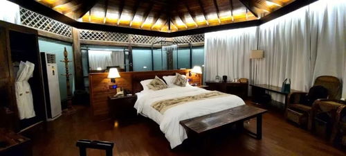 三亚天价酒店惊现虫灾，住客遭遇堪忧！