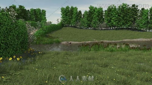 大漠里的生态传奇：近观‘两山’下的壮美画卷