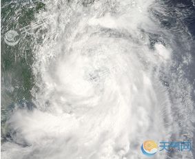 台风‘杨柳’即将登陆，多地将迎来狂风暴雨！