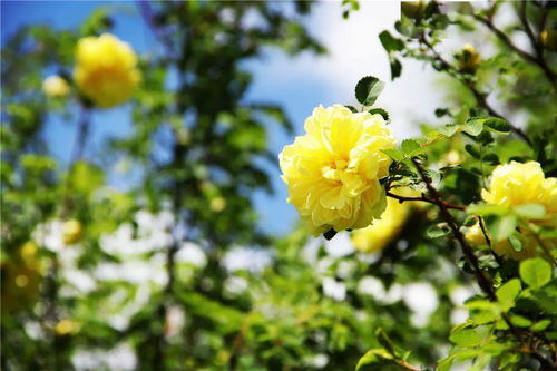 暑期游：亲子游成主力，‘清凉游’火热，多地文旅活力满满