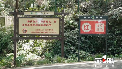 景区入口标志牌