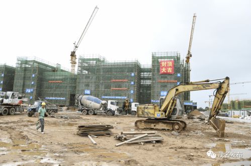 全球首款女团机器人10580元拍出！背后故事太震撼