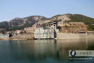 钓鱼，夏日里超解压的运动！