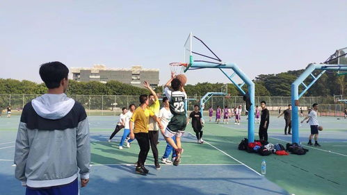 篮球运动员拼搏