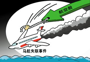 其他类似失联事件对比图