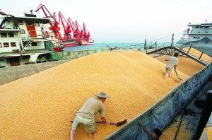 中国大豆进口港口