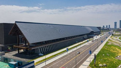 成都世运会：共赴一场国际体育盛宴