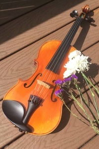 抖音热门小提琴版《晴》背后的独特魅力