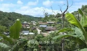 植树造林改善生态之路漫漫