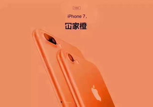 iPhone 17 Pro最新外观大揭秘！