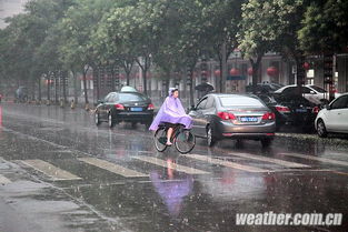 实拍北京暴雨：天空骤暗树枝狂舞