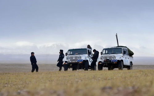 移动哨兵在可可西里无人区巡逻