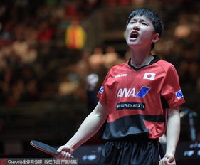 张本智和怒怼日本乒协，医疗暂停规则引争议