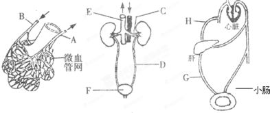 今日起，吃饭得这么调！不然小心身体亮红灯