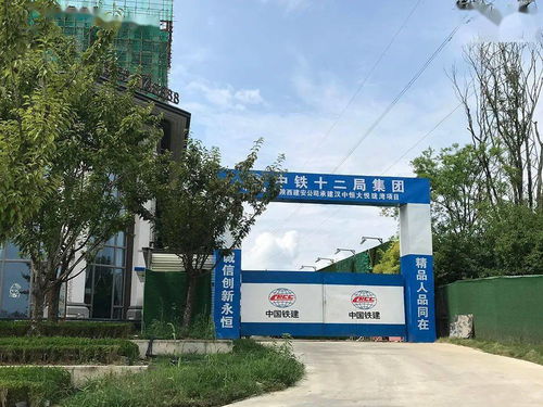 恒大破产后的工地现场