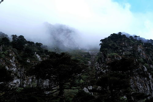 大理8岁男童苍山走失遇难，背后故事令人揪心