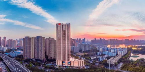 恒大退市：‘大到不能倒’的神话破灭之路