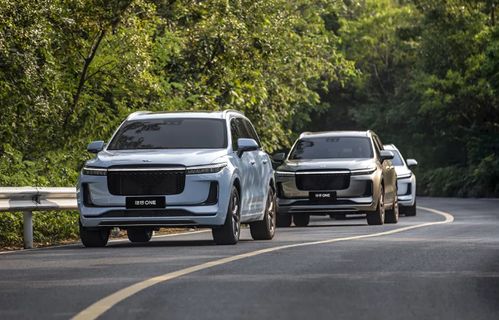 抖音出手！整治恶搞理想车主乱停车等内容