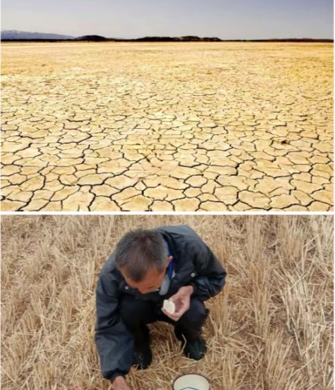 降雨趋势大变，多地农民受困，专家分析背后原因