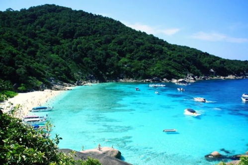 中国女子张书卿在日本买岛还想继续扩充！