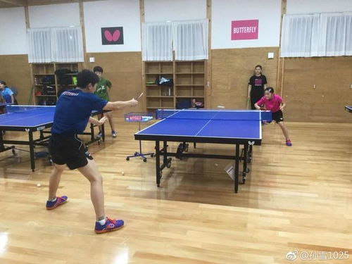 张本智和刻苦训练