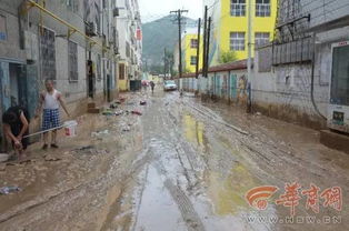 台风过后的街道景象